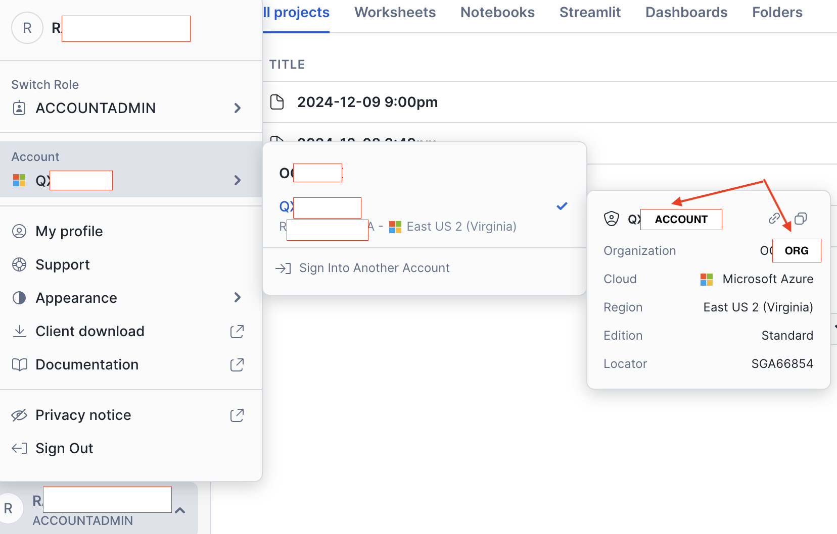Retrieve Snowflake connection details